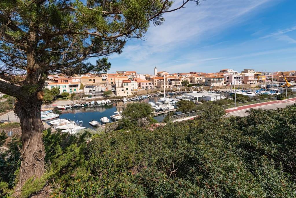 La Lampara - Casa Panoramica 4 Km Dalla Pelosa สตินติโน ภายนอก รูปภาพ